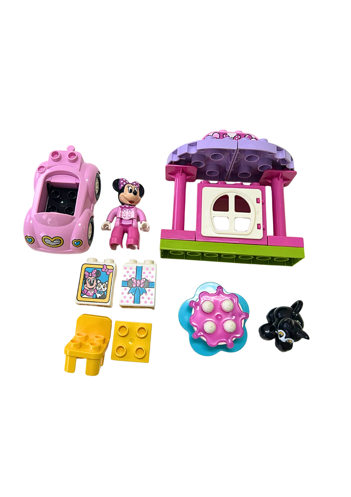 Minnie's Birthday Party 10873