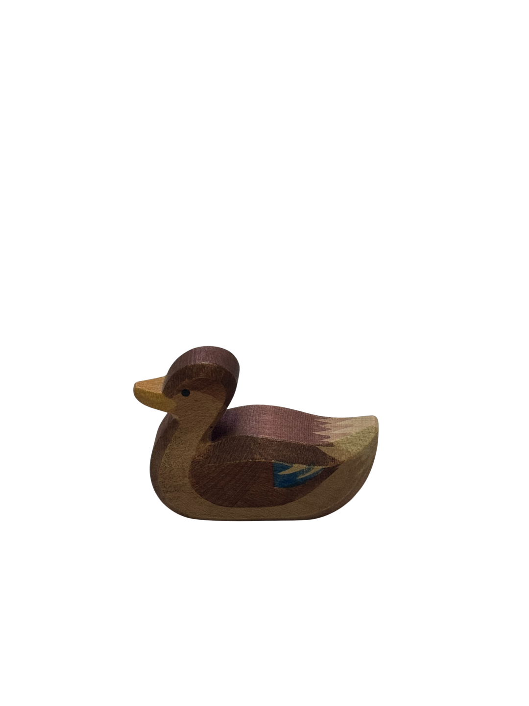 Duck Swimming