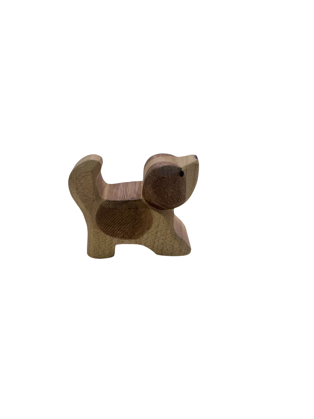 St Bernhard Dog Head High Small