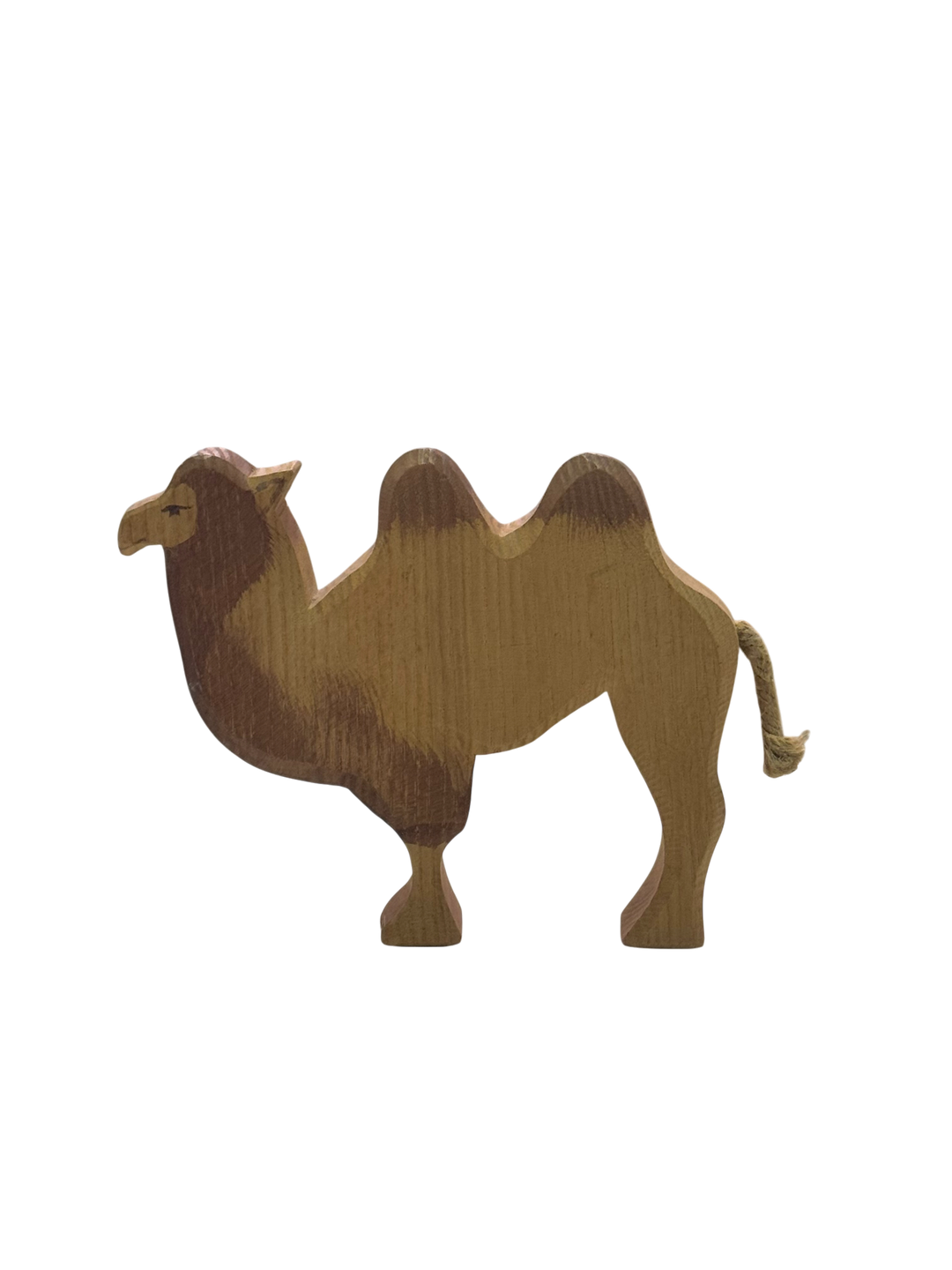Camel