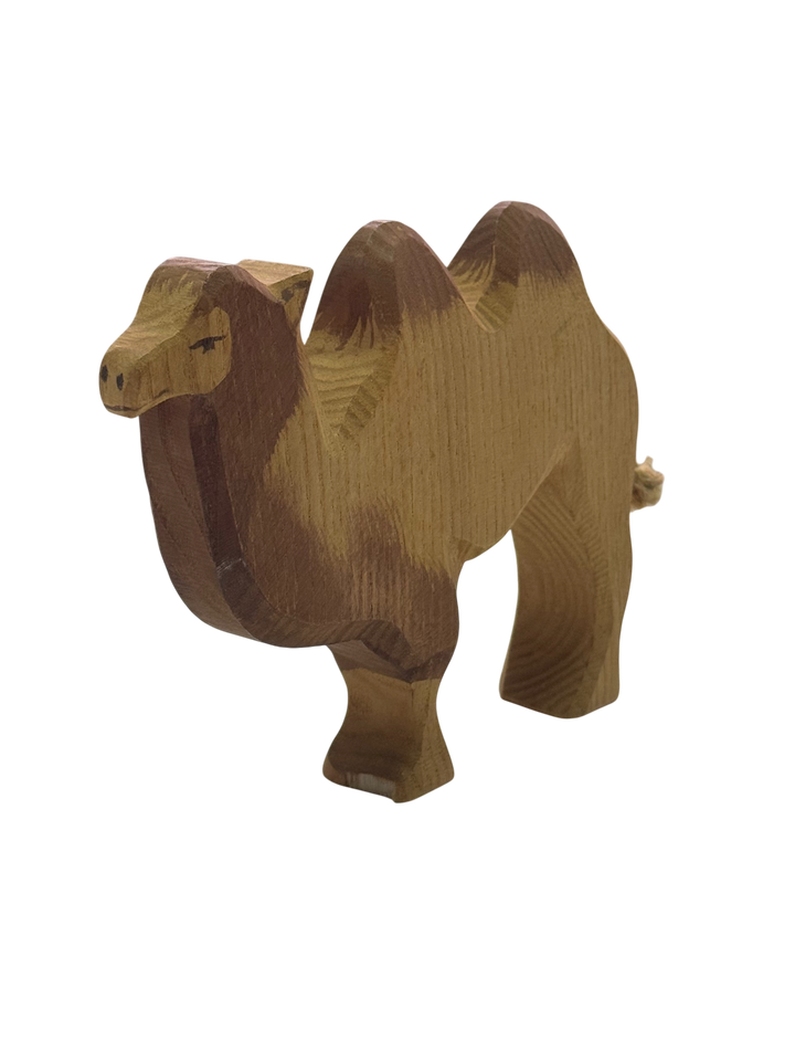 Camel