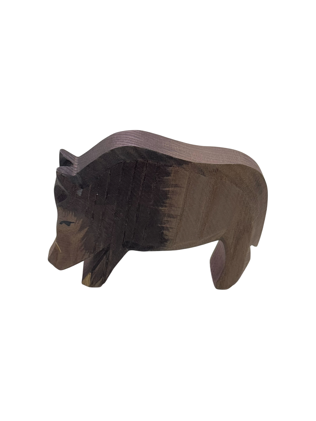Wild Boar
