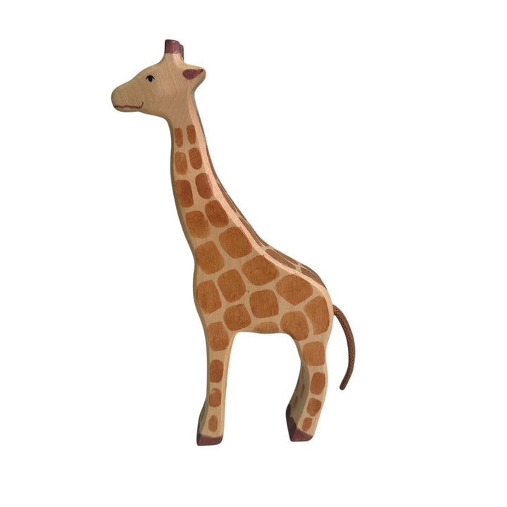 Giraffe standing