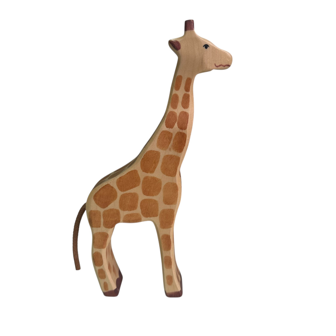 Giraffe standing