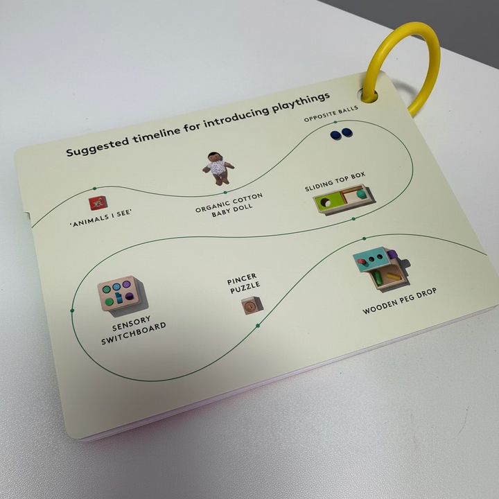 The Thinker Kit - 11 to 12 months