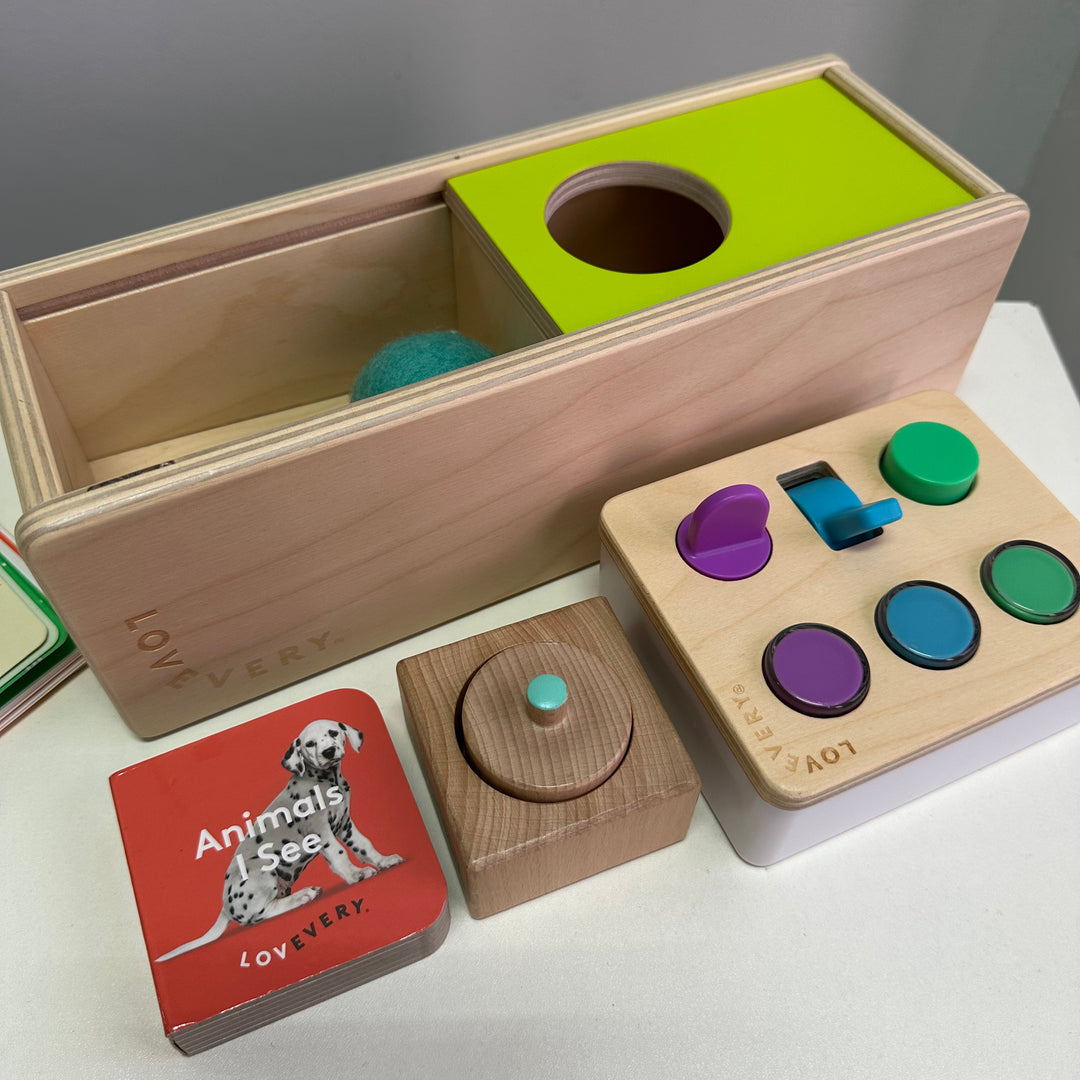 The Thinker Kit - 11 to 12 months