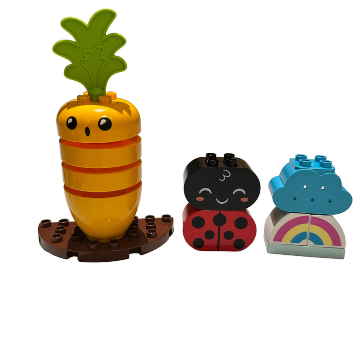 Organic Garden 10984