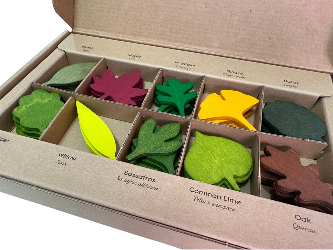 Wooden Woodland Leaves Set