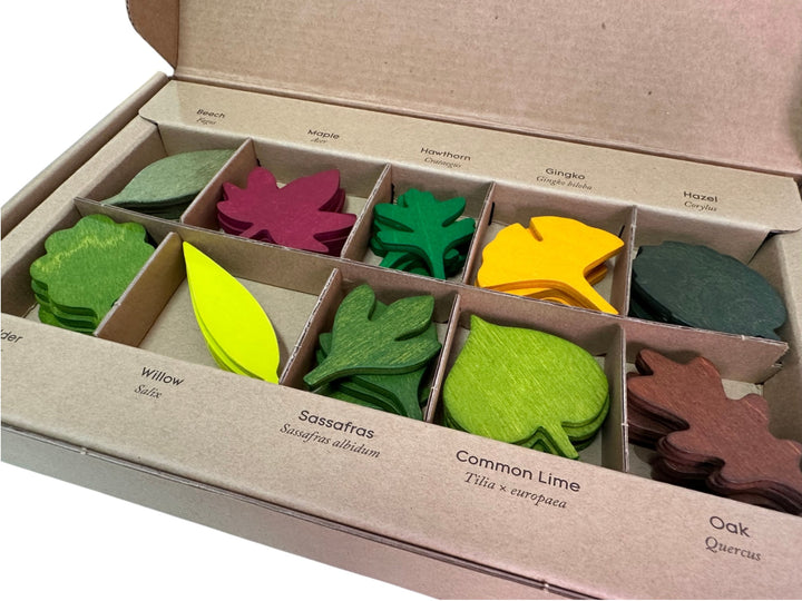 Wooden Woodland Leaves Set