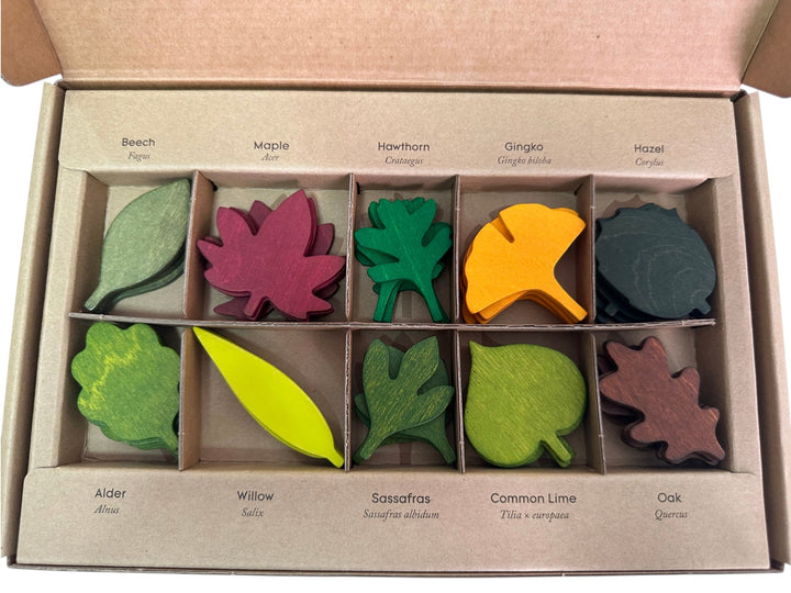 Wooden Woodland Leaves Set