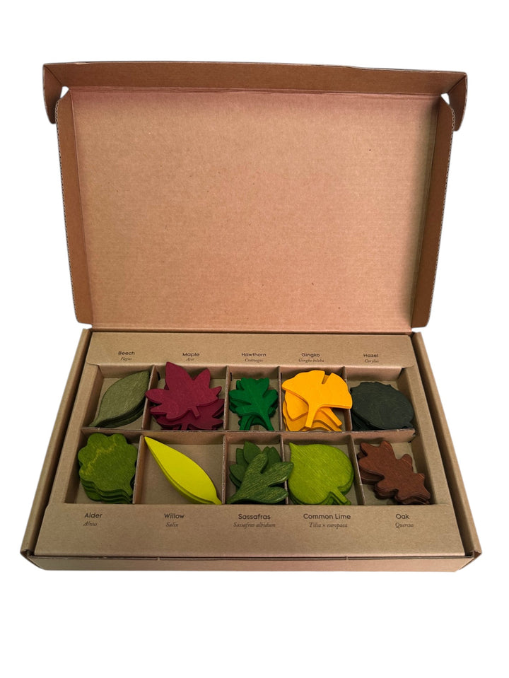 Wooden Woodland Leaves Set