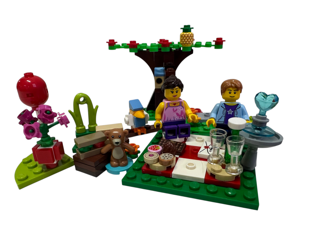 Romantic Valentine Picnic 40236