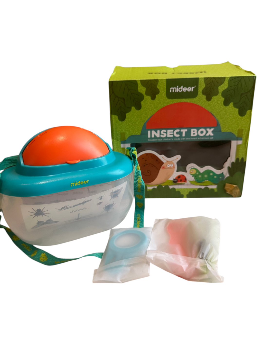 Insect Box