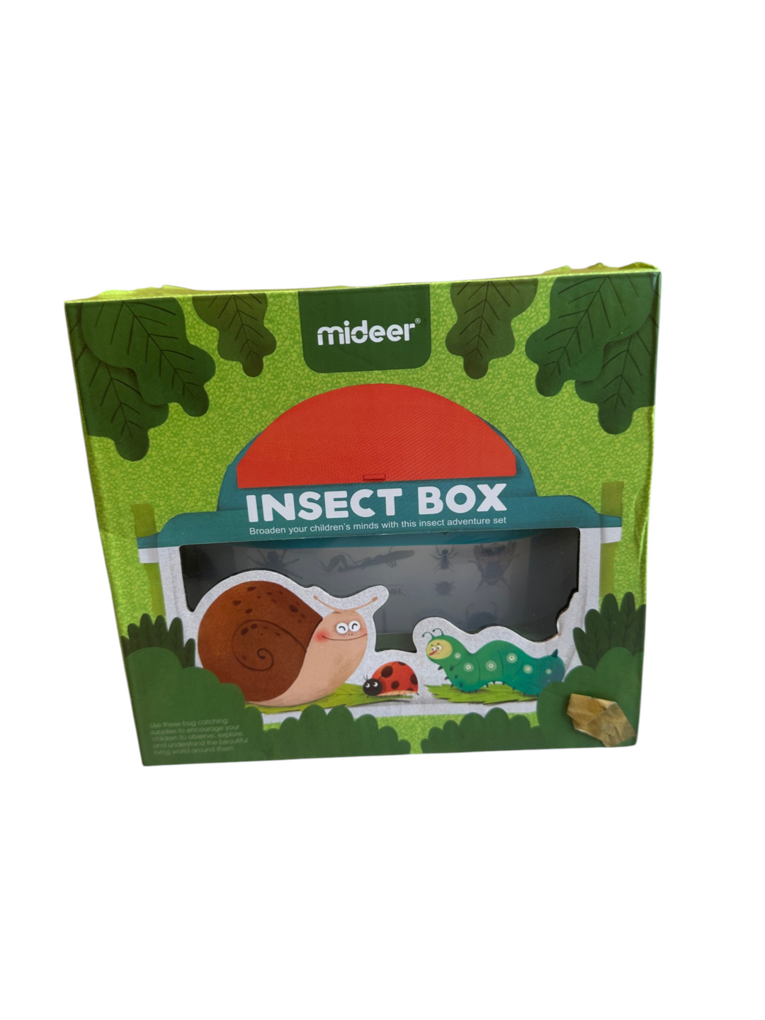 Insect Box
