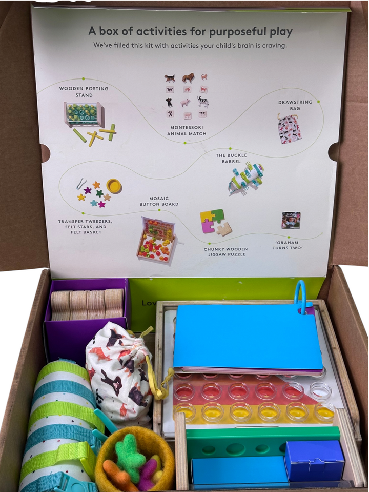 The Companion Play Kit (22, 23, 24+ months)