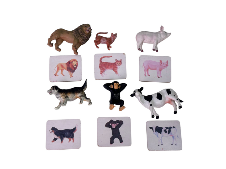 The Companion Play Kit (22, 23, 24+ months)