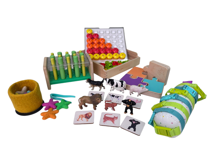 The Companion Play Kit (22, 23, 24+ months)