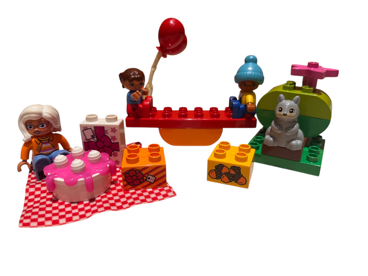 Birthday Picnic / Birthday Party 10832