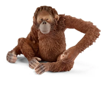 Schleich, Orang Utan Female, Wanna hang out? This orangutan sure does! Swing into action and invite this tree-dweller into your Wild Life collection. The orangutan toy figurine has a movable arm…perfect for hanging from a tree branch or a string of party lights.