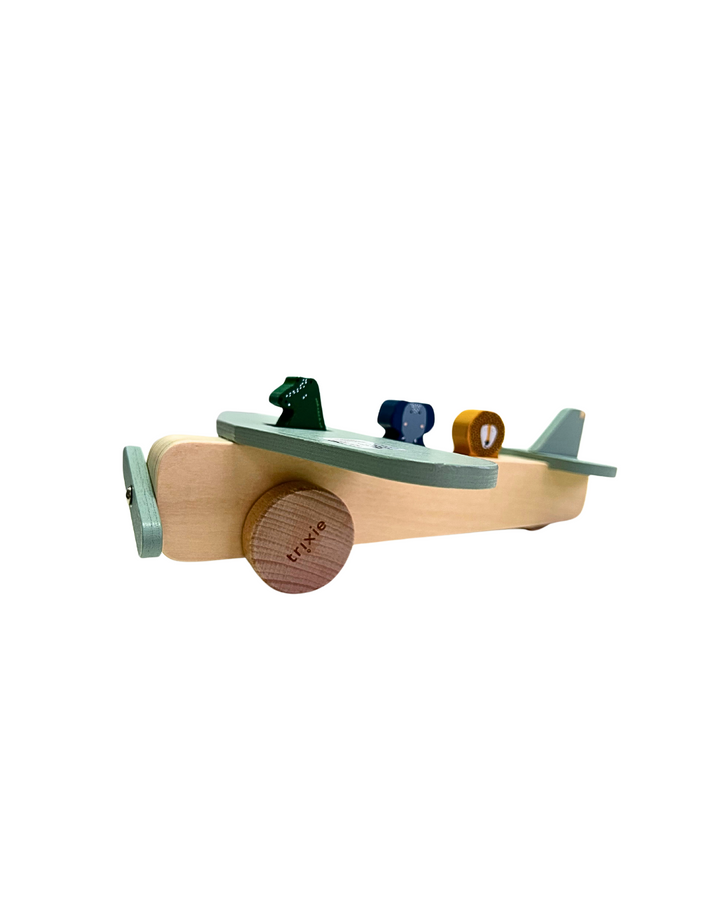 Wooden Animal Airplane