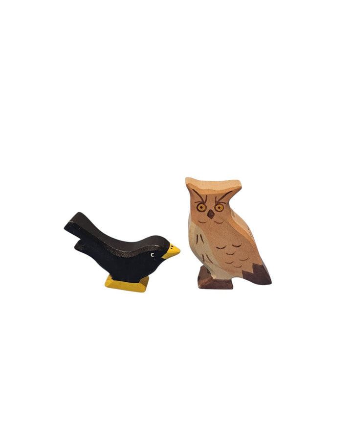 Black Bird and Eagle Owl