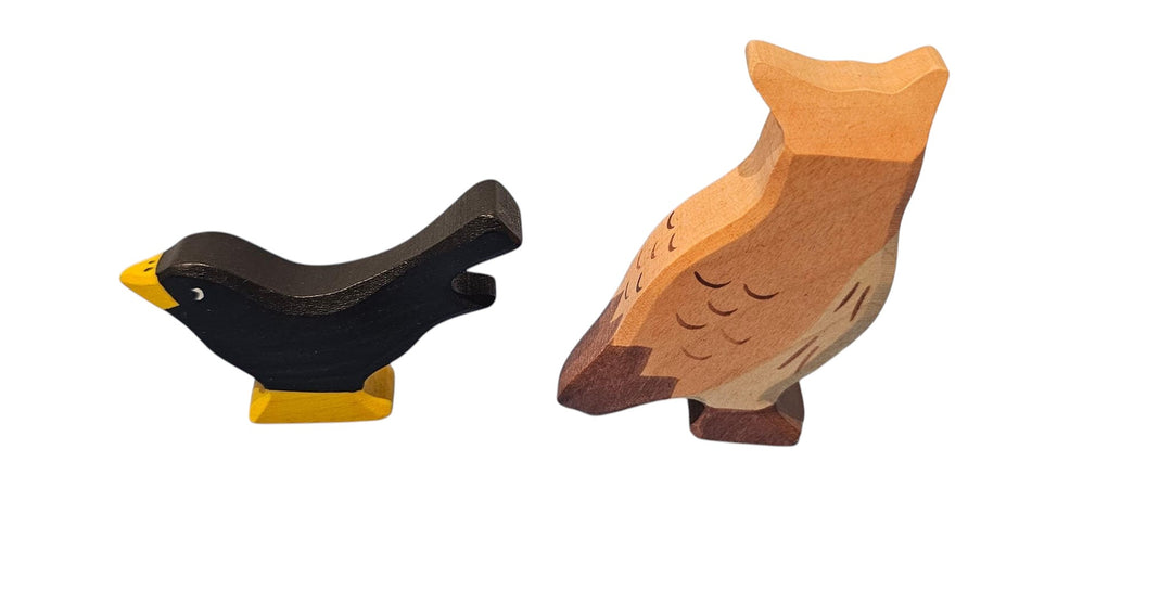 Black Bird and Eagle Owl