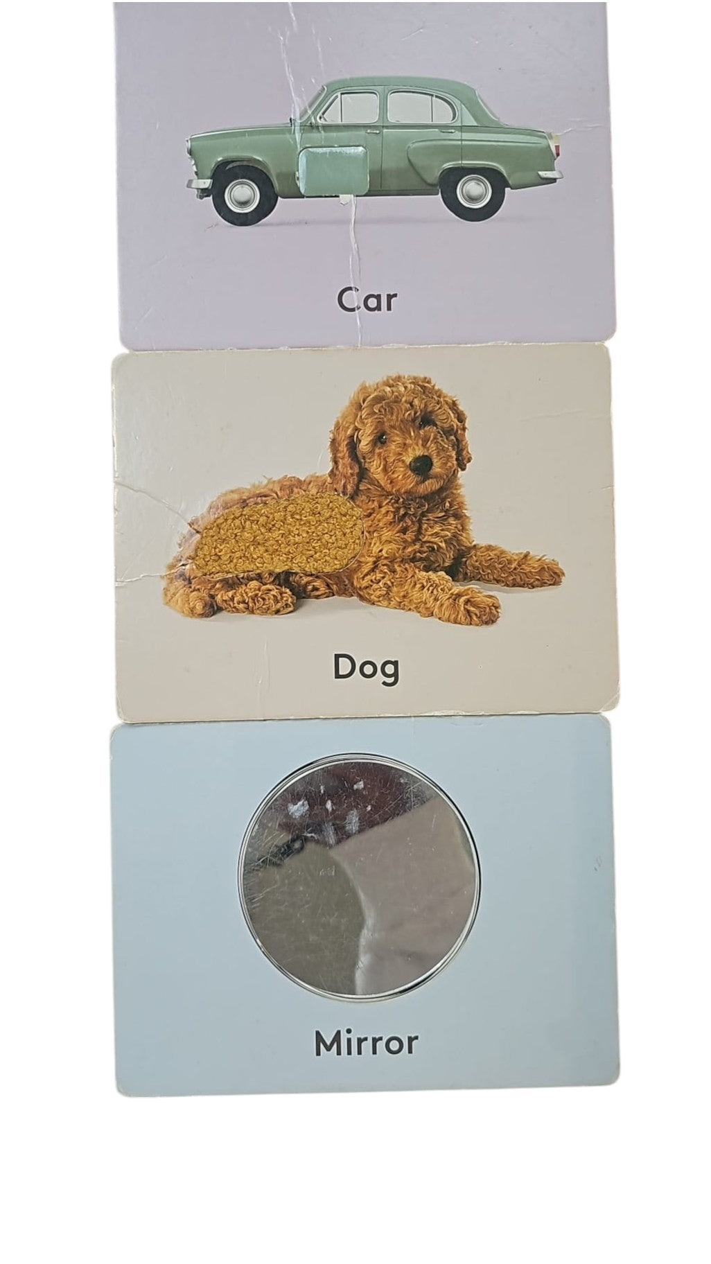 The Inspector Play Kit (7, 8+ months)