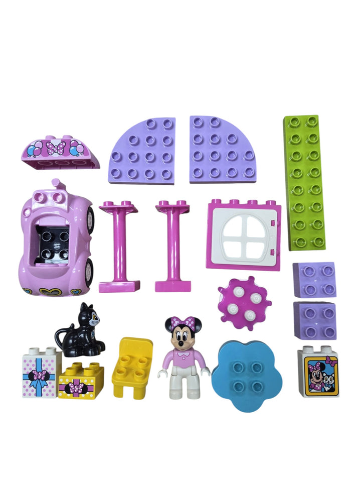 Minnie's Birthday Party 10873