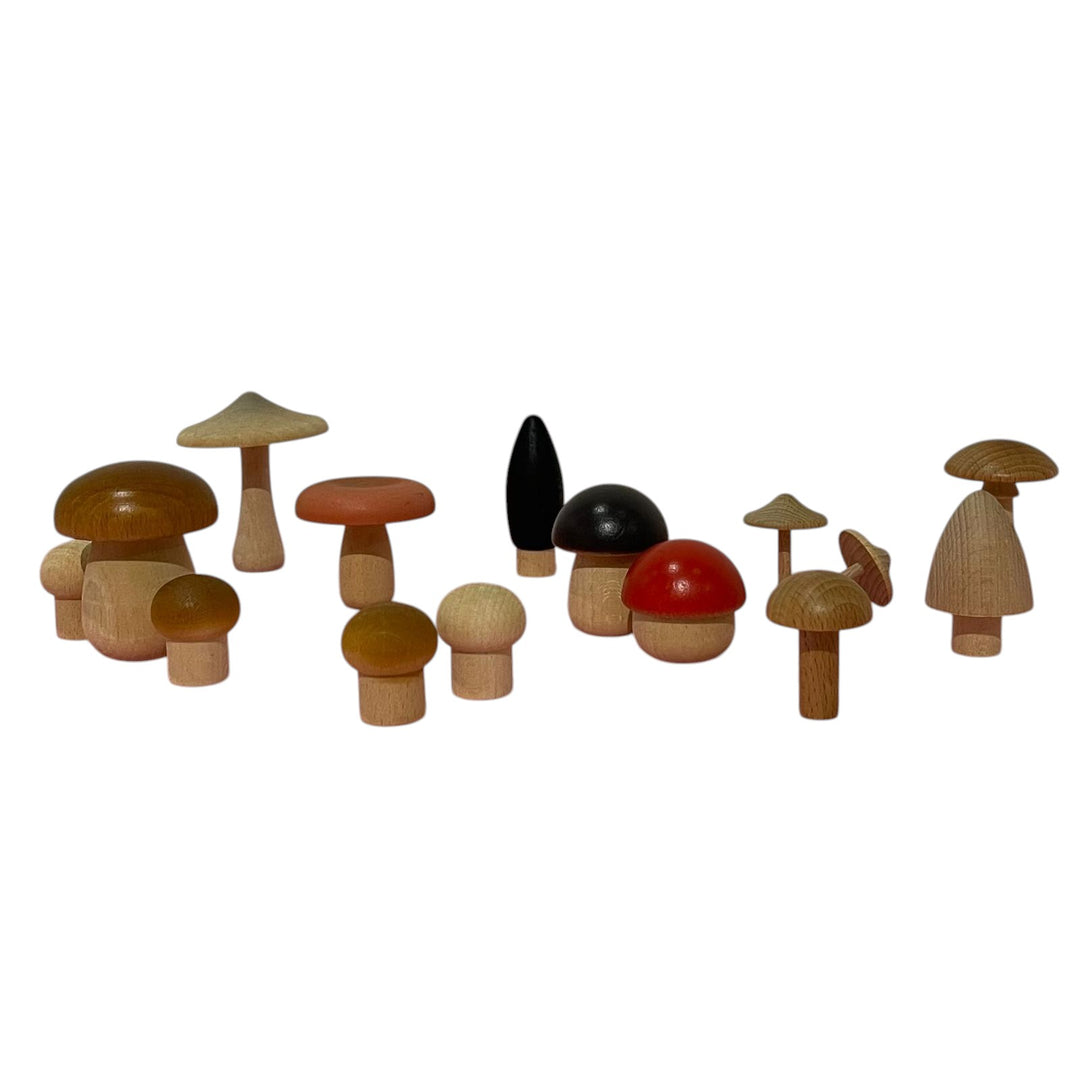 Forest Mushroom
